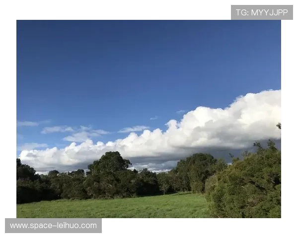 洛克霍尔德盛赞佩雷拉勇气十足 虽无地面技术凭心态成就伟大